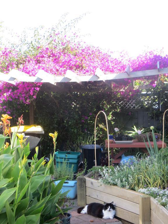 Cotswold Cottage Bed And Breakfast Thames Eksteriør bilde